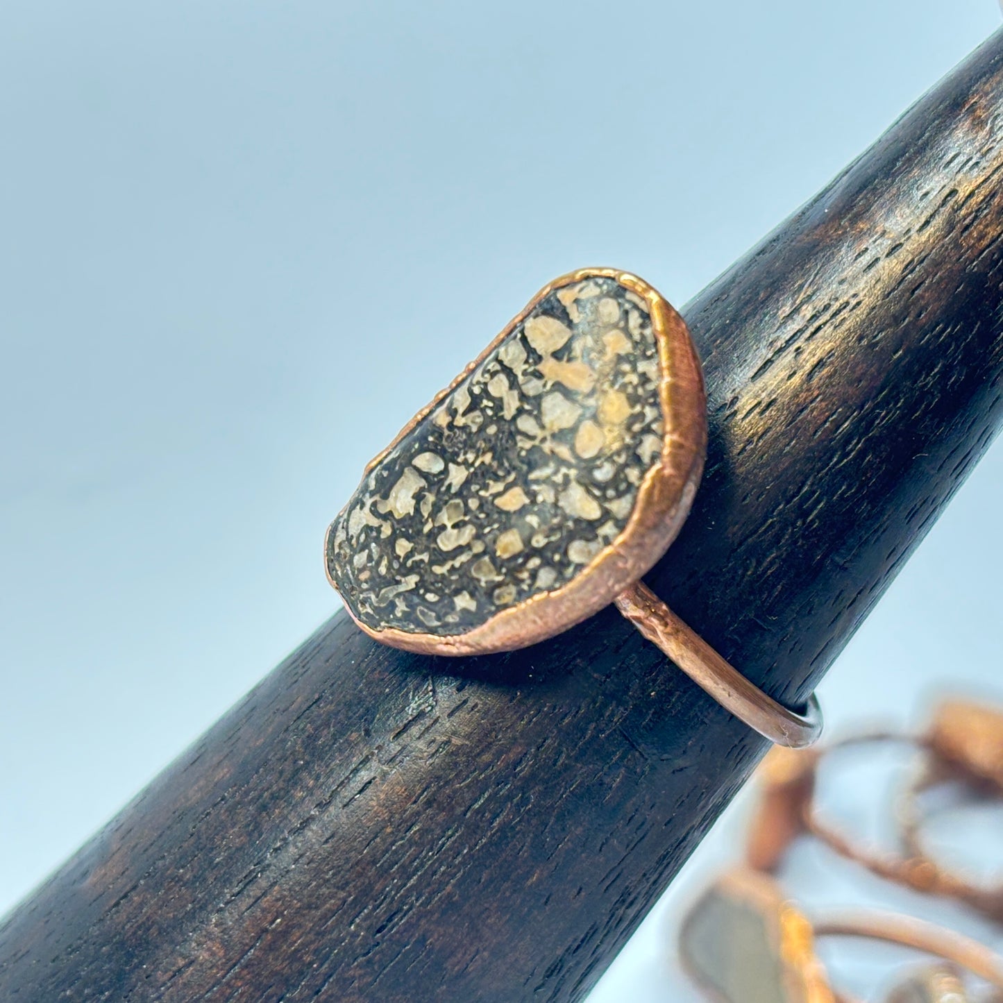 Size 9 Pastel Dinosaur Bone Copper Electroformed Ring