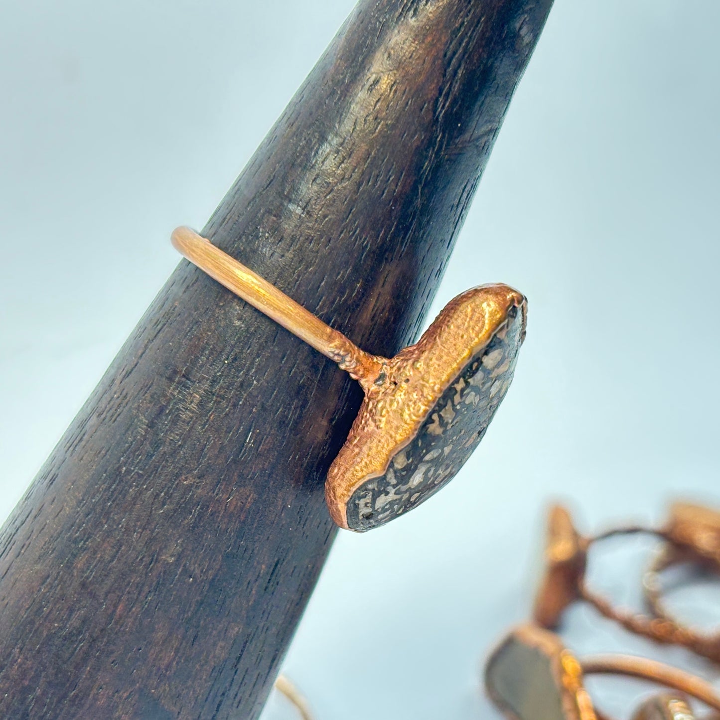 Size 9 Pastel Dinosaur Bone Copper Electroformed Ring