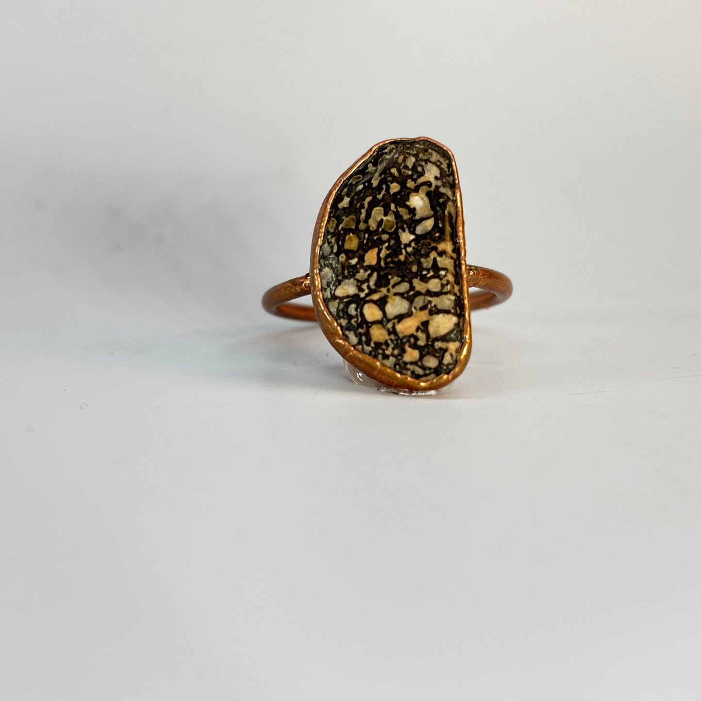Size 9 Pastel Dinosaur Bone Copper Electroformed Ring