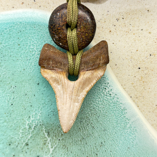 Megalodon Fossil Tooth Pendant Aprox 1.75 Inches and Hand Carved Dinosaur Bone Big Bead