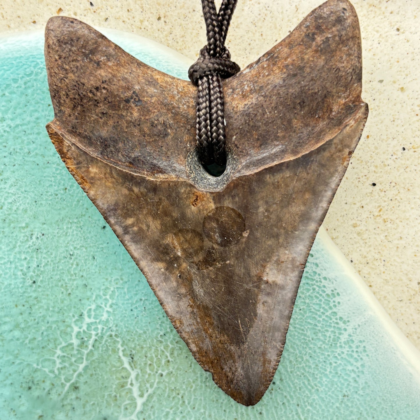 Megalodon Fossil Tooth Pendant Aprox 3 Inches