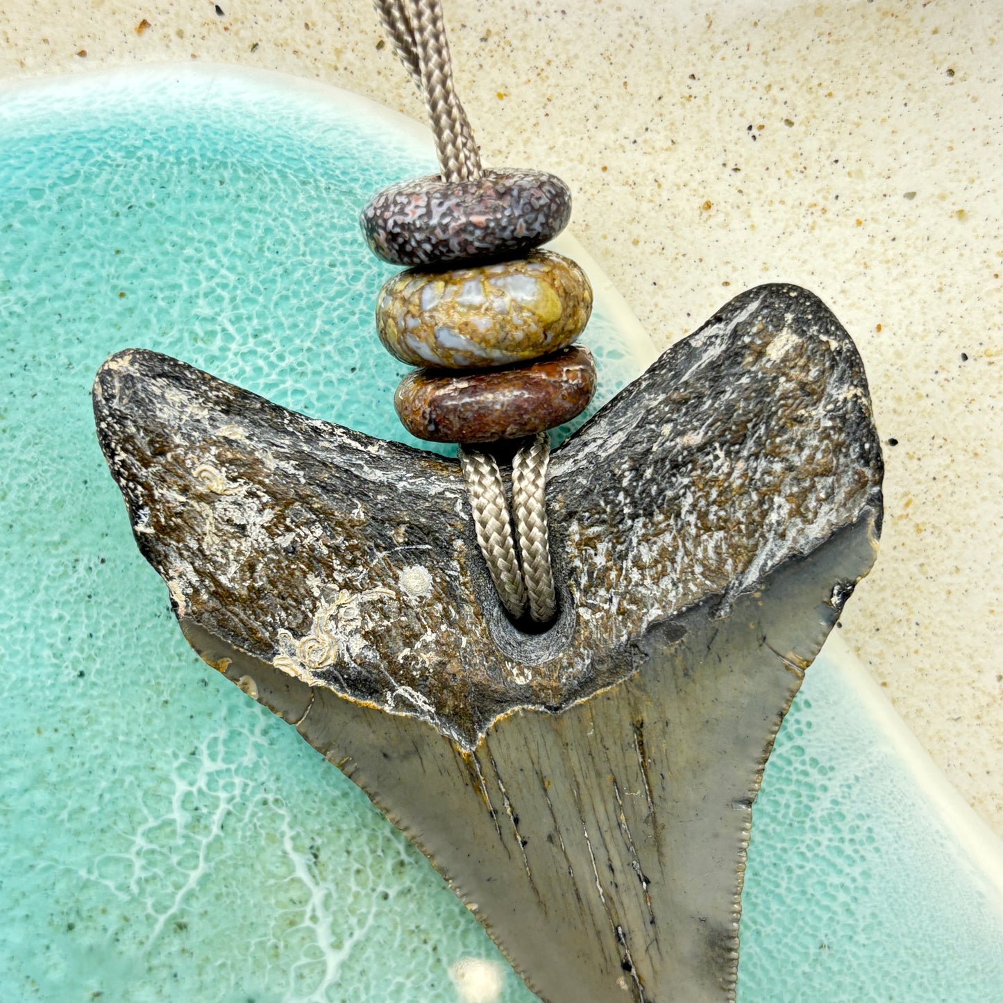 Megalodon Fossil Tooth Pendant Aprox 3 Inches and Hand Carved Dinosaur Bone Crown Bead(s)