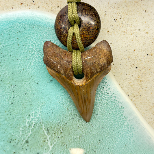 Megalodon Fossil Tooth Pendant Aprox 1.75 Inches and Hand Carved Dinosaur Bone Big Bead