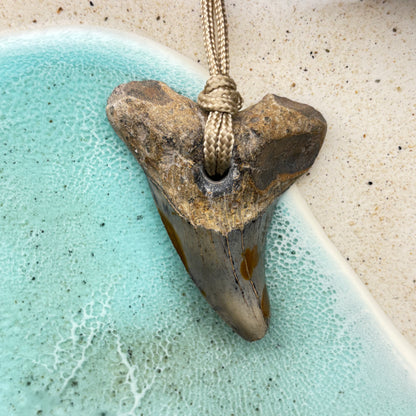 Benedini Fossil Shark Tooth Pendant Aprox 2.50 Inches