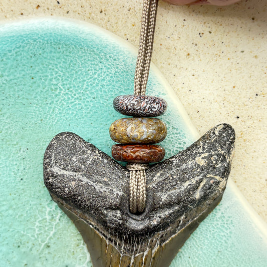 Megalodon Fossil Tooth Pendant Aprox 3 Inches and Hand Carved Dinosaur Bone Crown Bead(s)