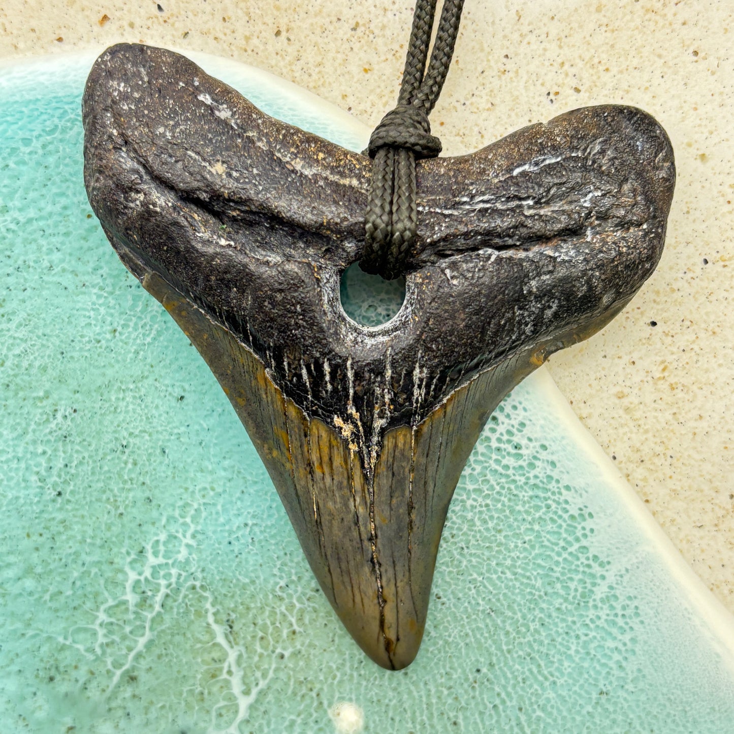 Megalodon Fossil Tooth Pendant Aprox 2.75 Inches